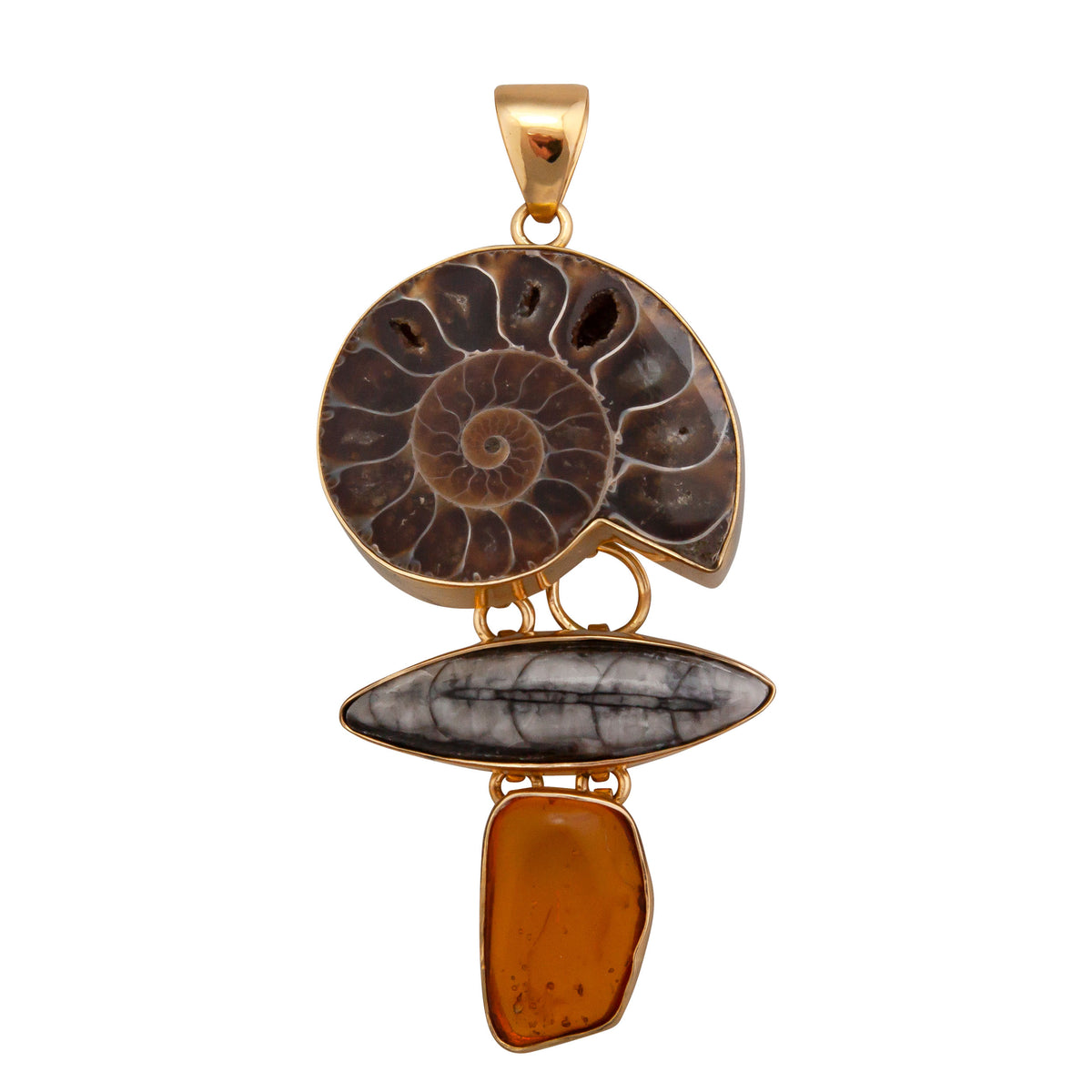 Charles Albert Jewelry - Alchemia Ammonite, Orthoceras &amp; Amber Pendant - Front View