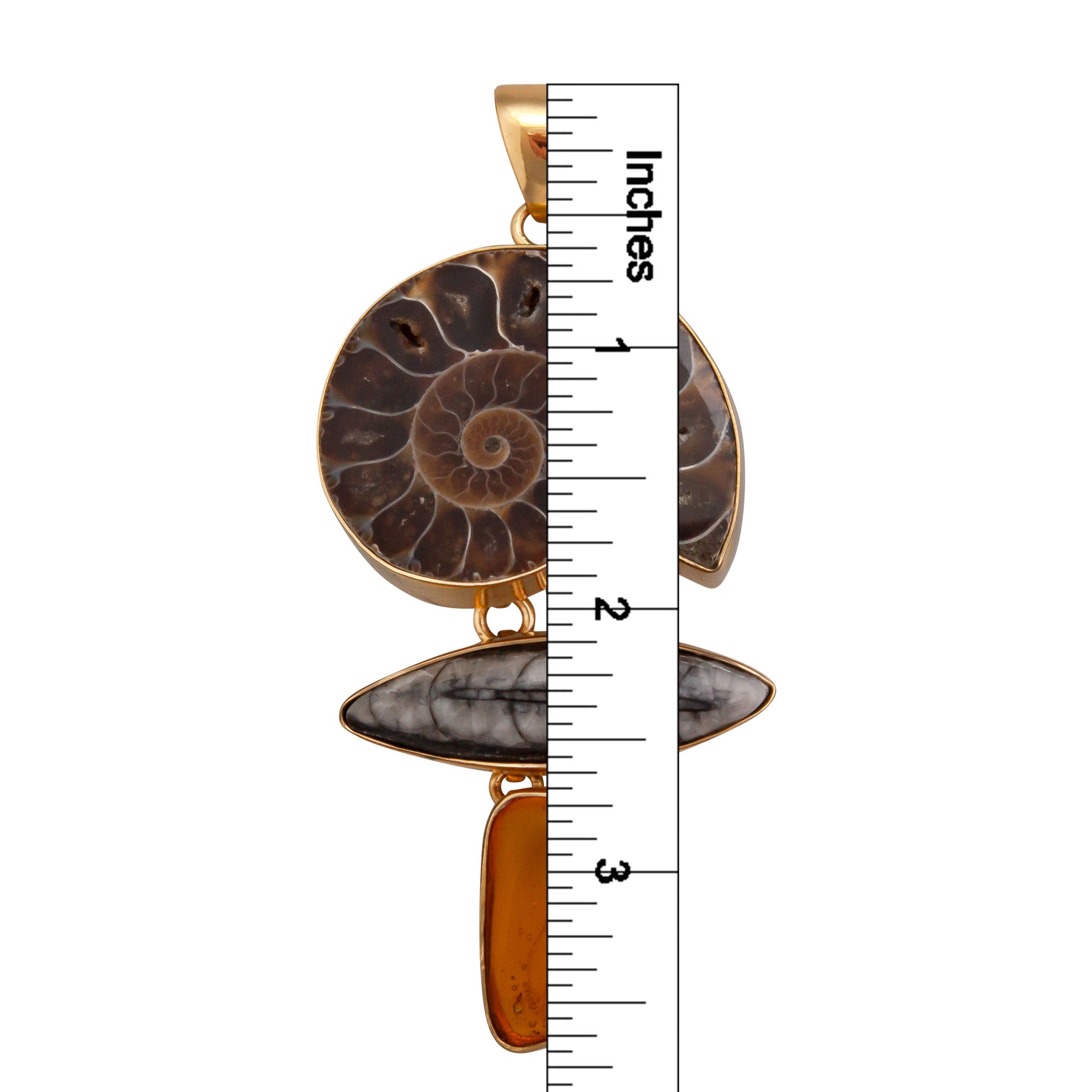 Charles Albert Jewelry - Alchemia Ammonite, Orthoceras & Amber Pendant - Measurements