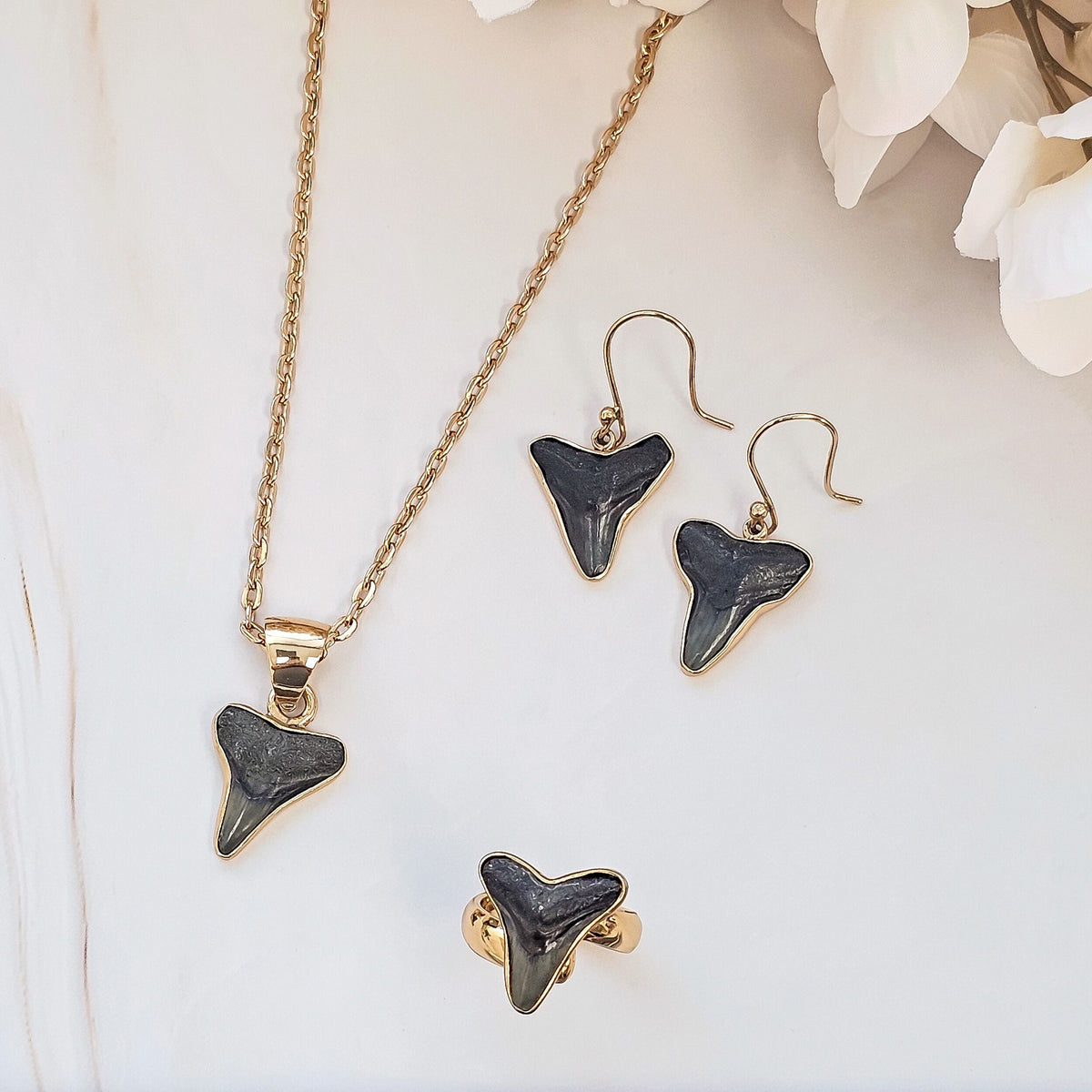 Alchemia Fossil Shark Tooth Set