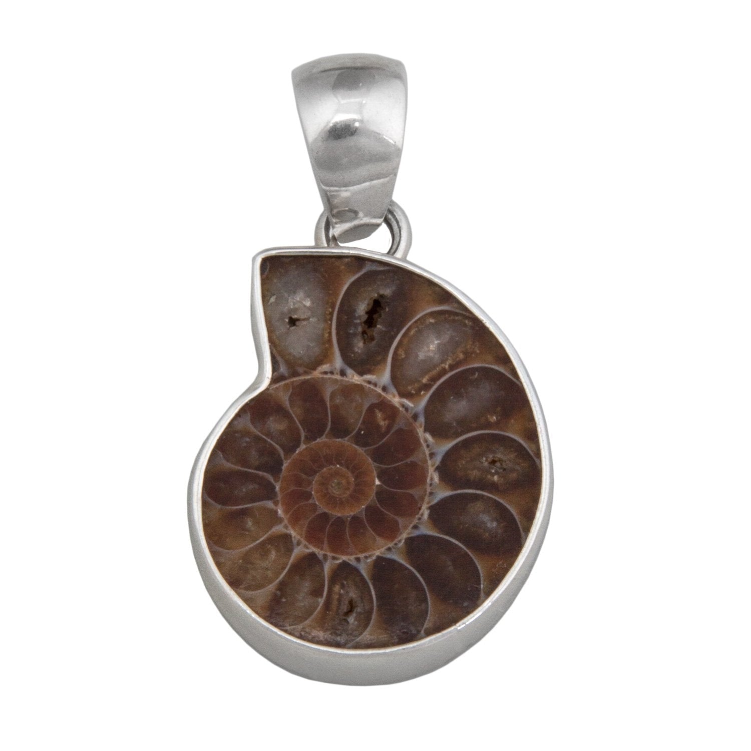 Charles Albert Jewelry - Sterling Silver Ammonite Pendant - Front View