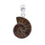 Charles Albert Jewelry - Sterling Silver Ammonite Pendant - Front View