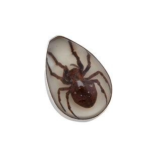 Sterling Silver Recluse Brown Spider Glow in the Dark Adjustable Ring | Charles Albert Jewelry