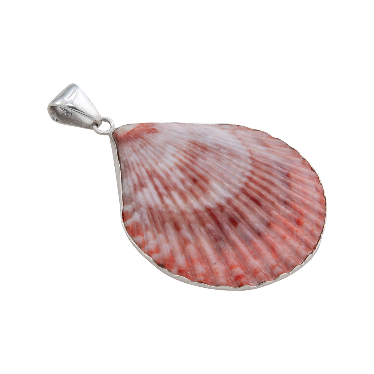 Sterling Silver Pectin Shell Pendant | Charles Albert Jewelry