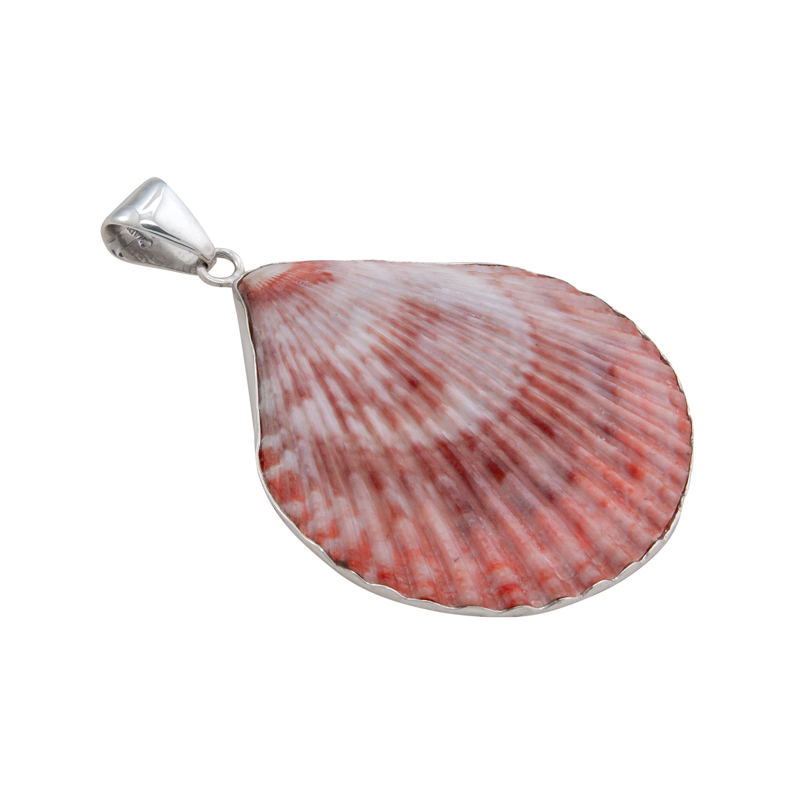 Sterling Silver Pectin Shell Pendant | Charles Albert Jewelry
