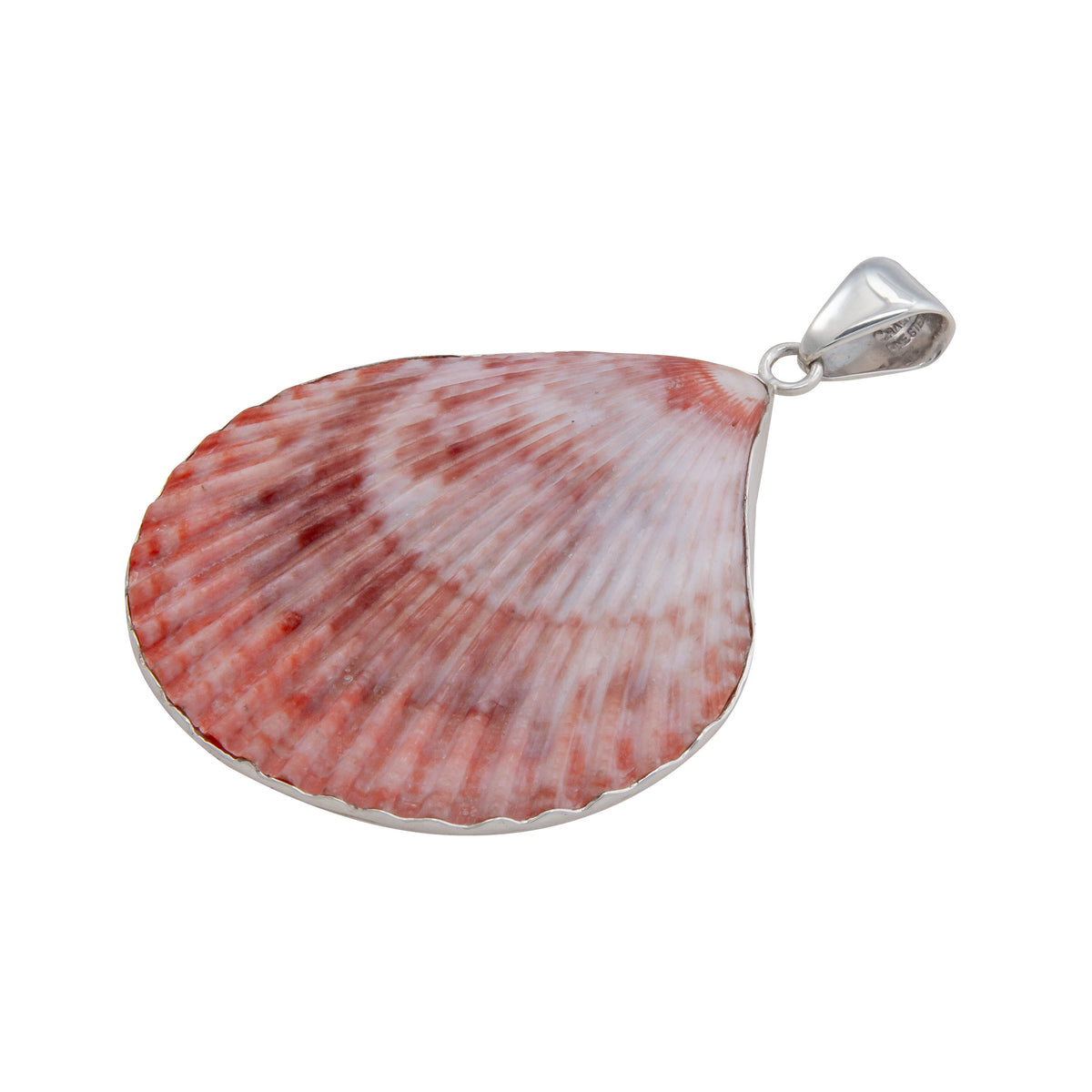 Sterling Silver Pectin Shell Pendant | Charles Albert Jewelry