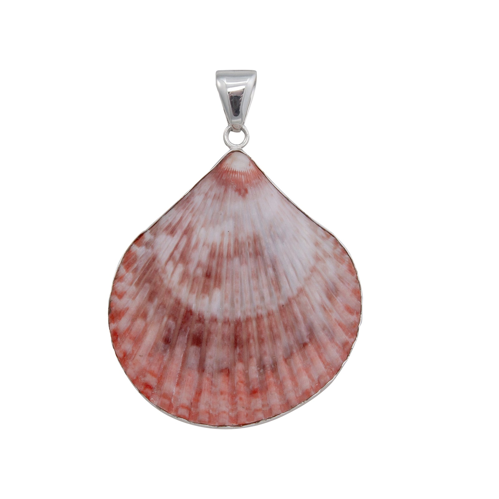 Sterling Silver Pectin Shell Pendant | Charles Albert Jewelry