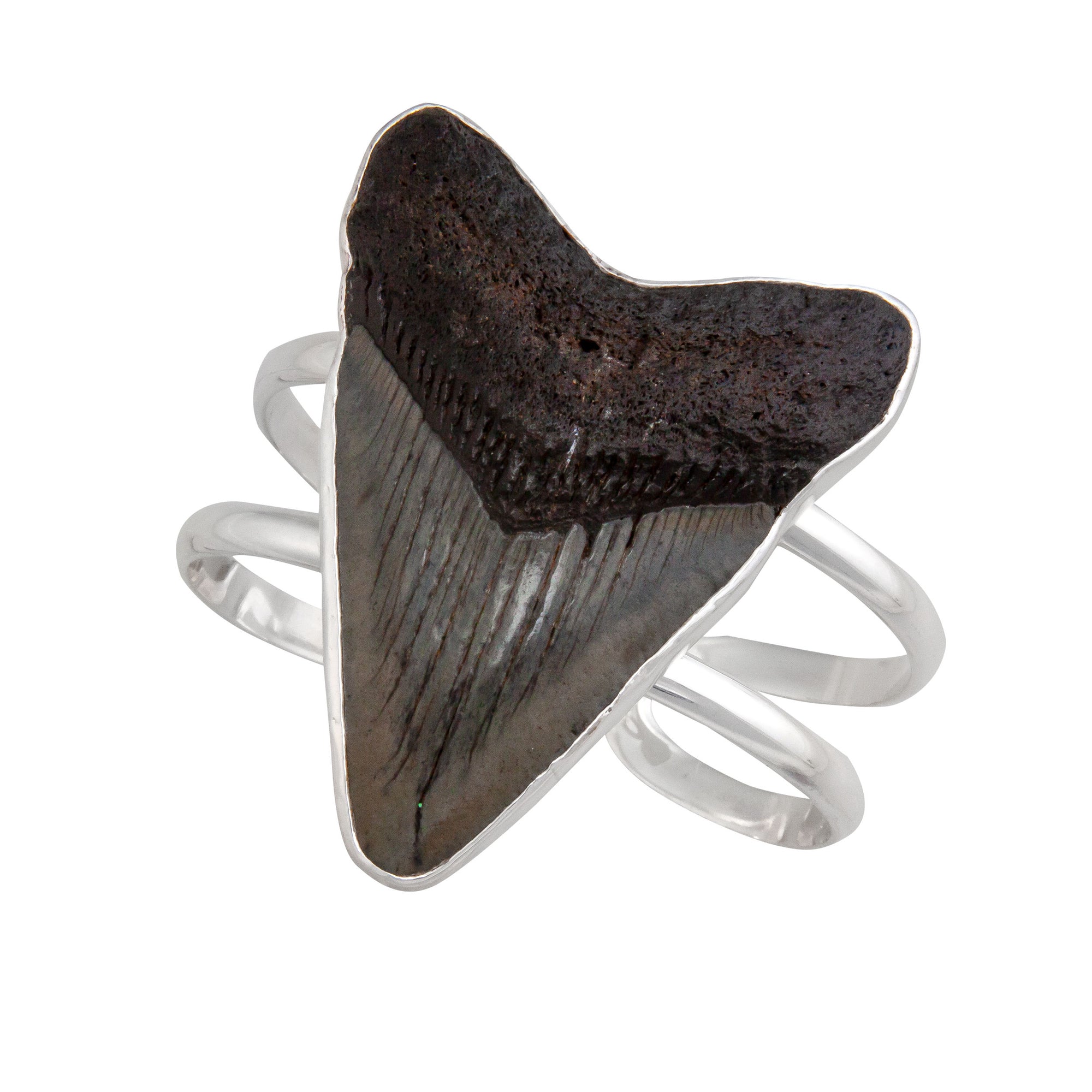 Sterling Silver Shark Tooth Double Band Cuff | Charles Albert Jewelry