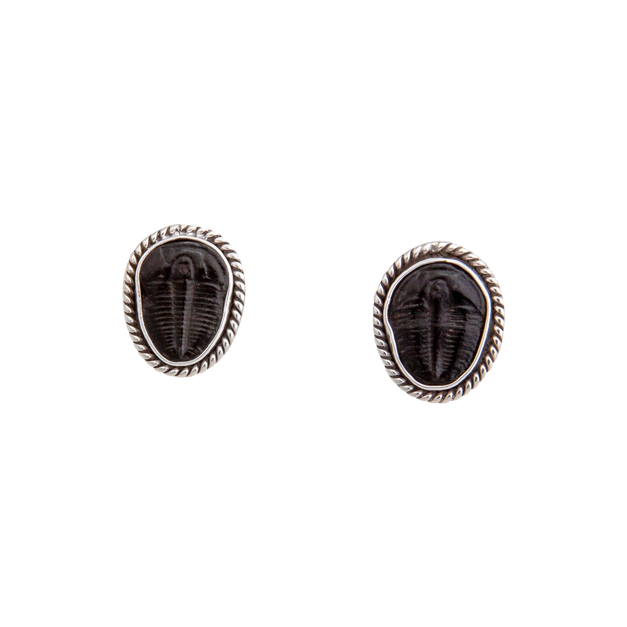 Sterling Silver Trilobite Rope Post Earrings | Charles Albert Jewelry