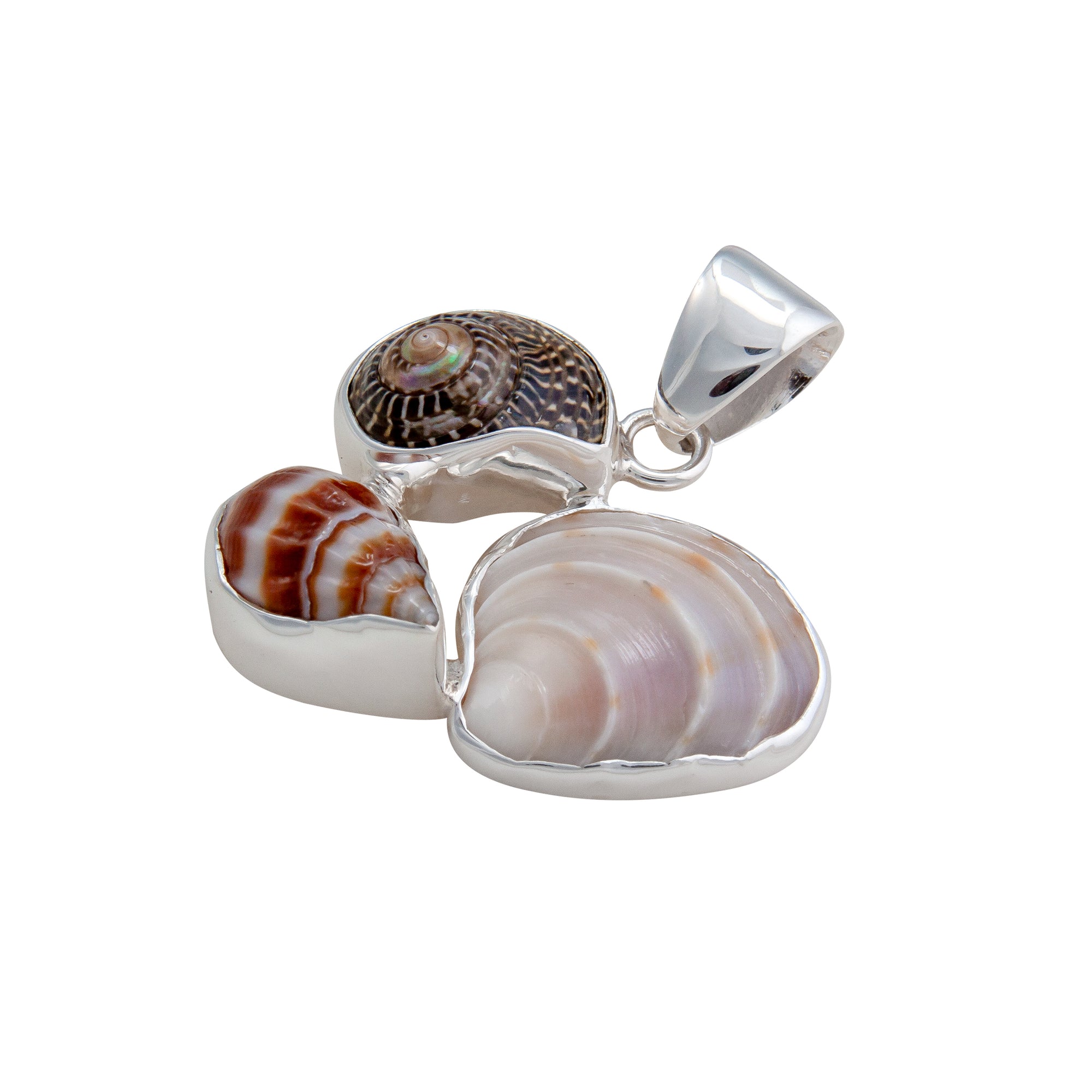 Sterling Silver Multi-Shell Pendant | Charles Albert Jewelry