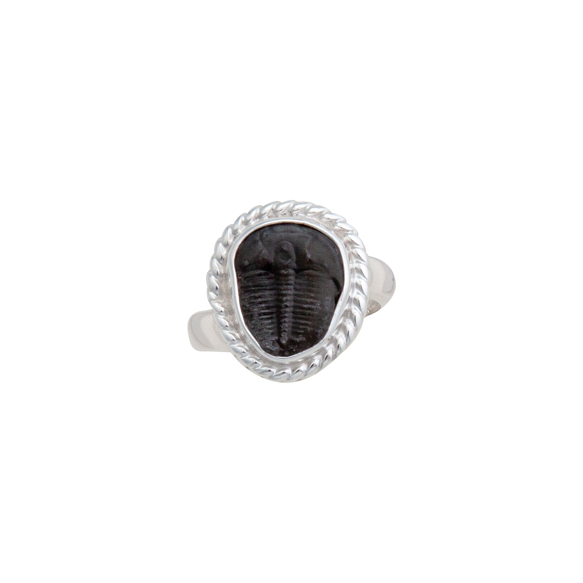 Sterling Silver Trilobite Rope Adjustable Ring | Charles Albert Jewelry