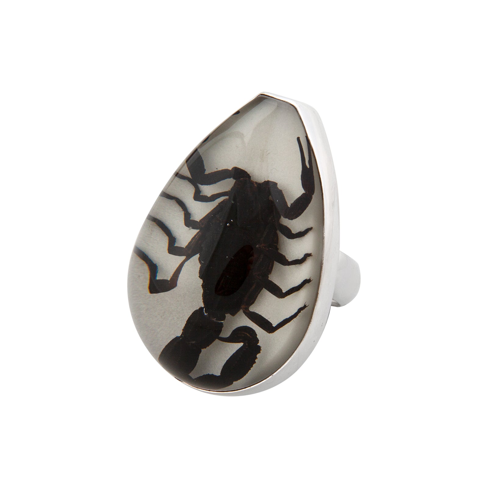Sterling Silver Scorpion Glow in the Dark Adjustable Ring | Charles Albert Jewelry