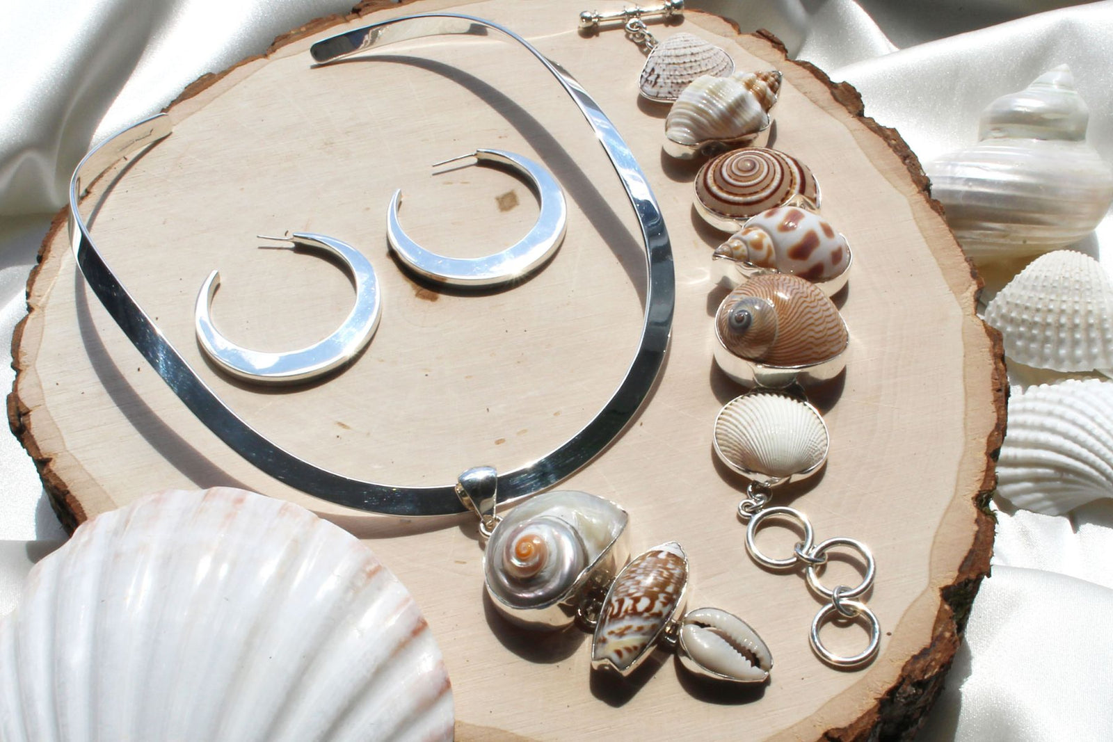 Shell Collection by Charles Albert Jewelry