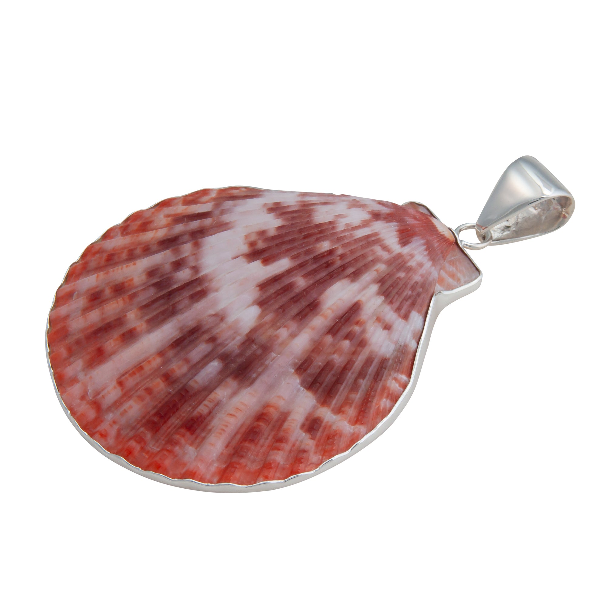 Sterling Silver Pectin Shell Pendant | Charles Albert Jewelry