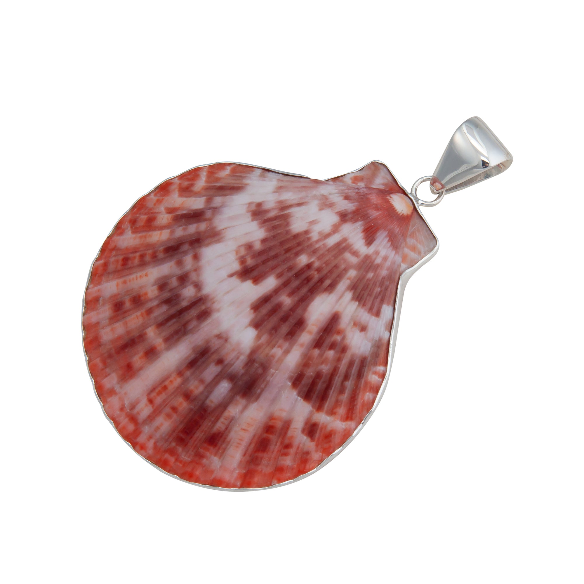 Sterling Silver Pectin Shell Pendant | Charles Albert Jewelry