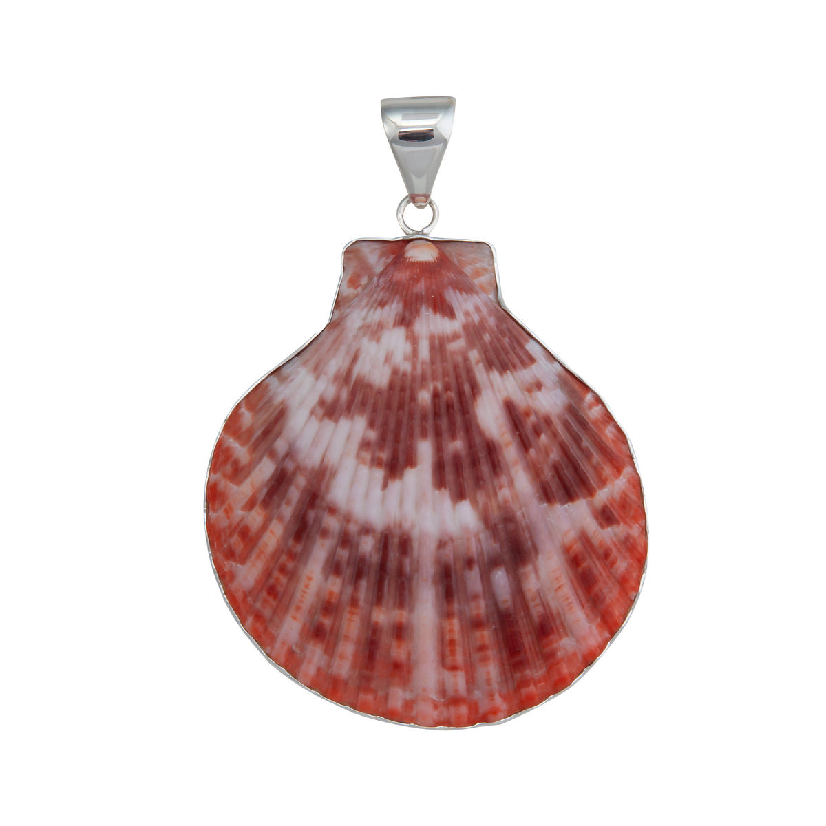 Sterling Silver Pectin Shell Pendant | Charles Albert Jewelry