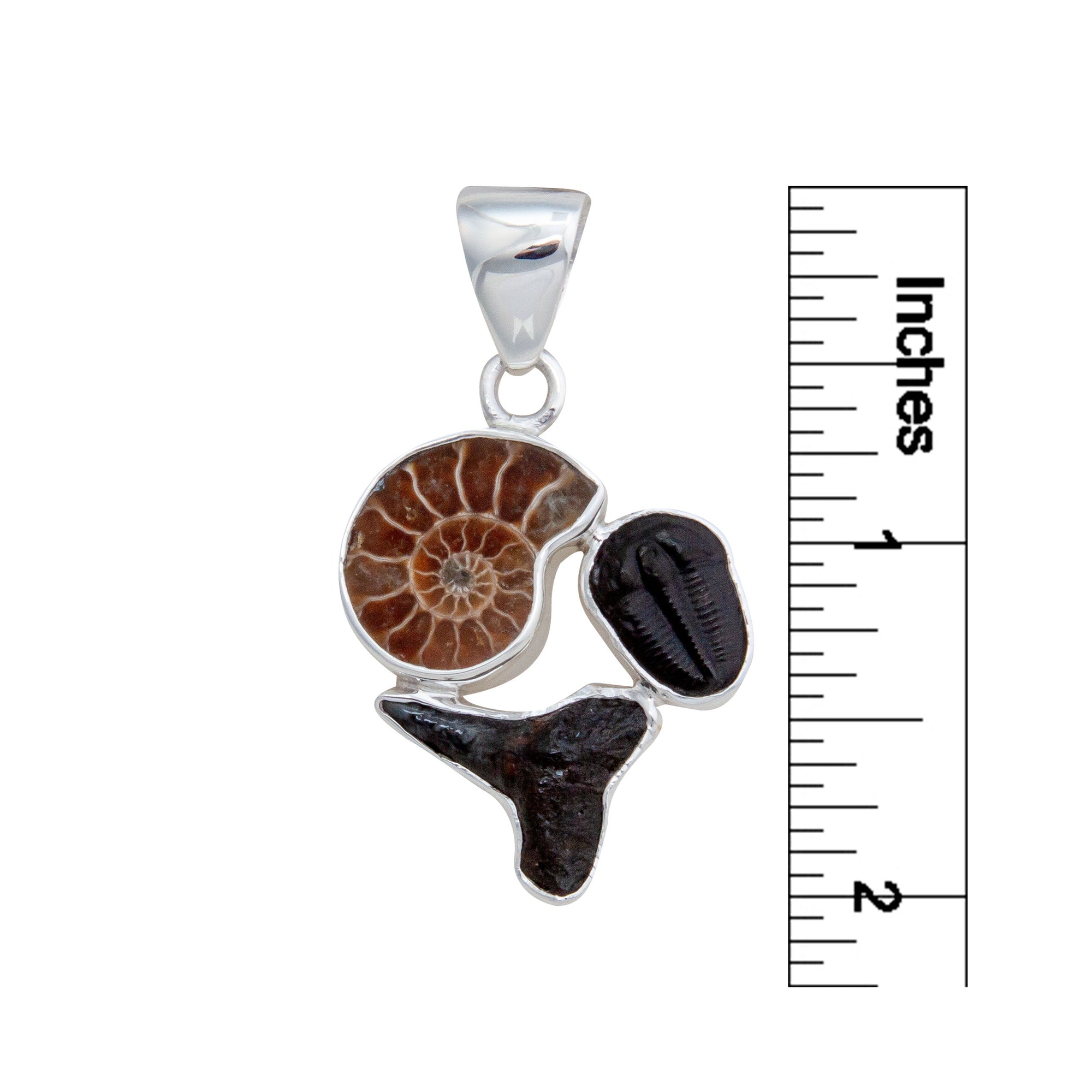 Sterling Silver Triple Fossil Pendant | Charles Albert Jewelry