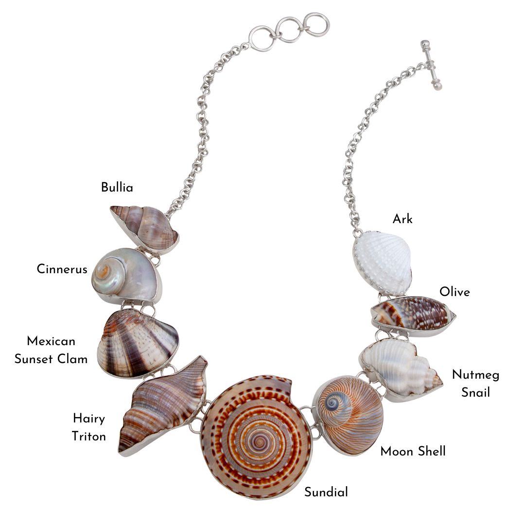 Sterling Silver Multi-Shell Necklace | Charles Albert Jewelry