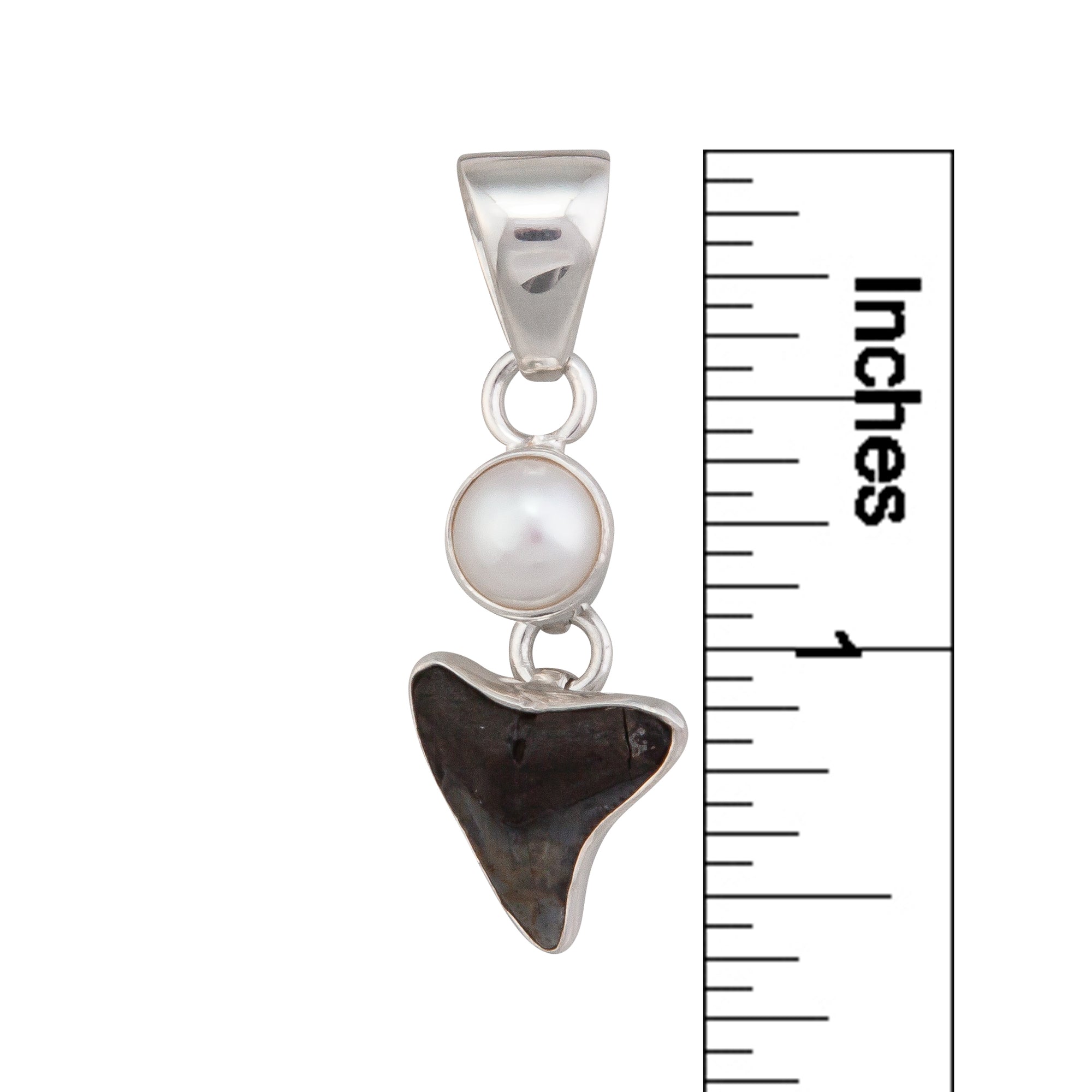 Sterling Silver Pearl & Shark Tooth Pendant - Charles Albert Jewelry