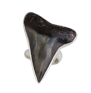 Sterling Silver Fossil Shark's Tooth Adjustable Ring | Charles Albert Jewelry