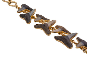 Alchemia Fossil Shark Teeth Bracelet | Charles Albert Jewelry
