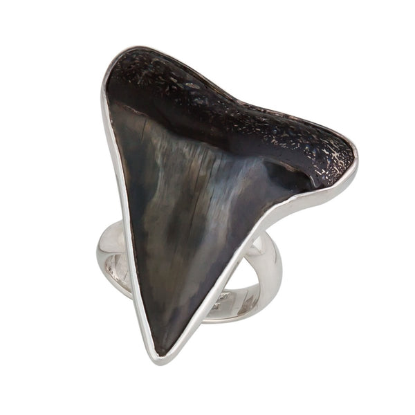 Sterling Silver Fossil Shark Tooth Adjustable Ring - Charles
