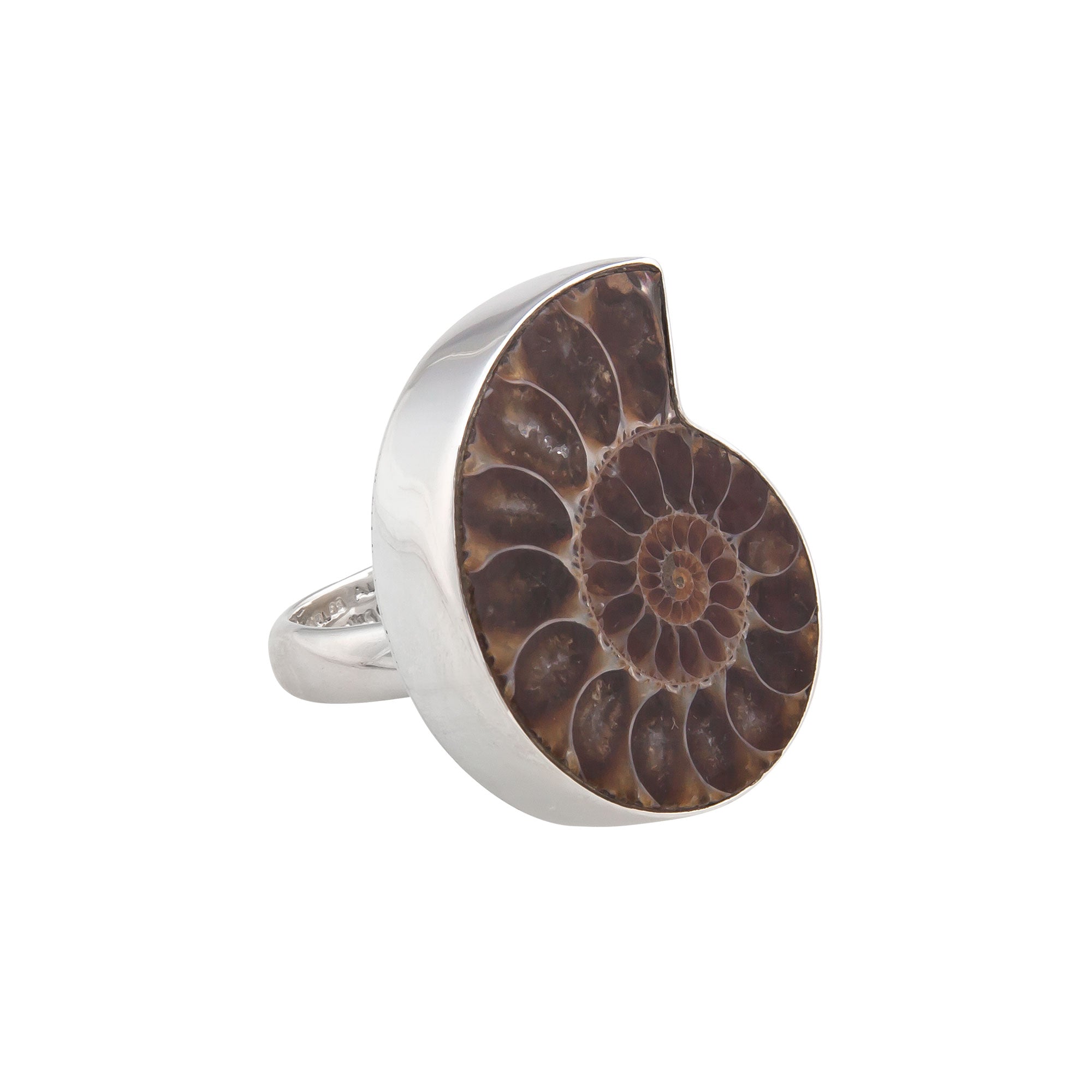 Sterling Silver Ammonite Adjustable Ring | Charles Albert Jewelry
