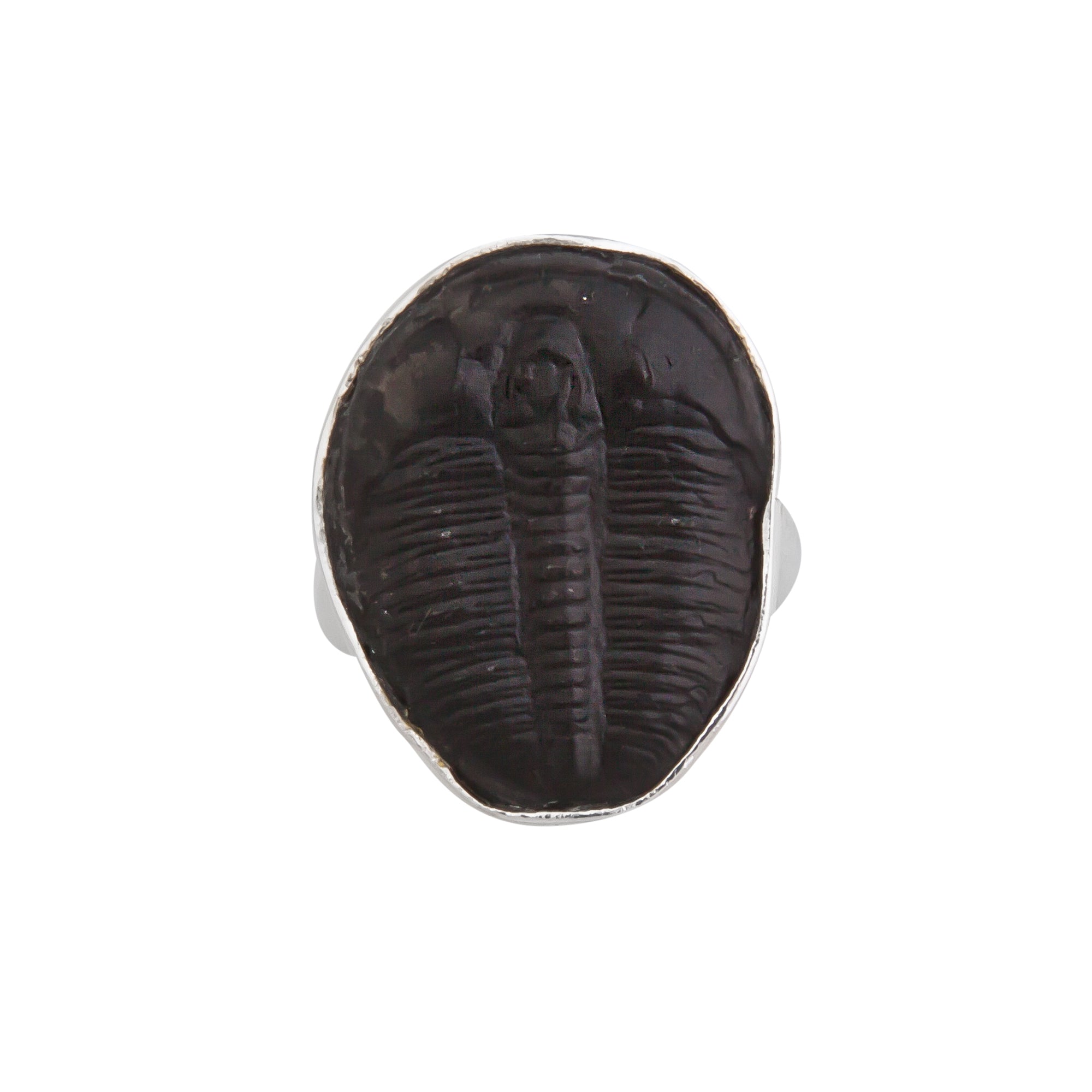 Sterling Silver Trilobite Adjustable Ring | Charles Albert Jewelry
