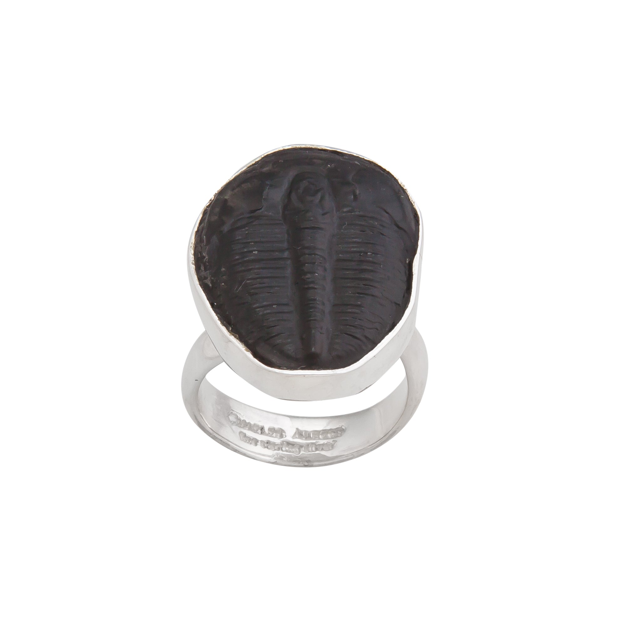 Sterling Silver Trilobite Adjustable Ring | Charles Albert Jewelry