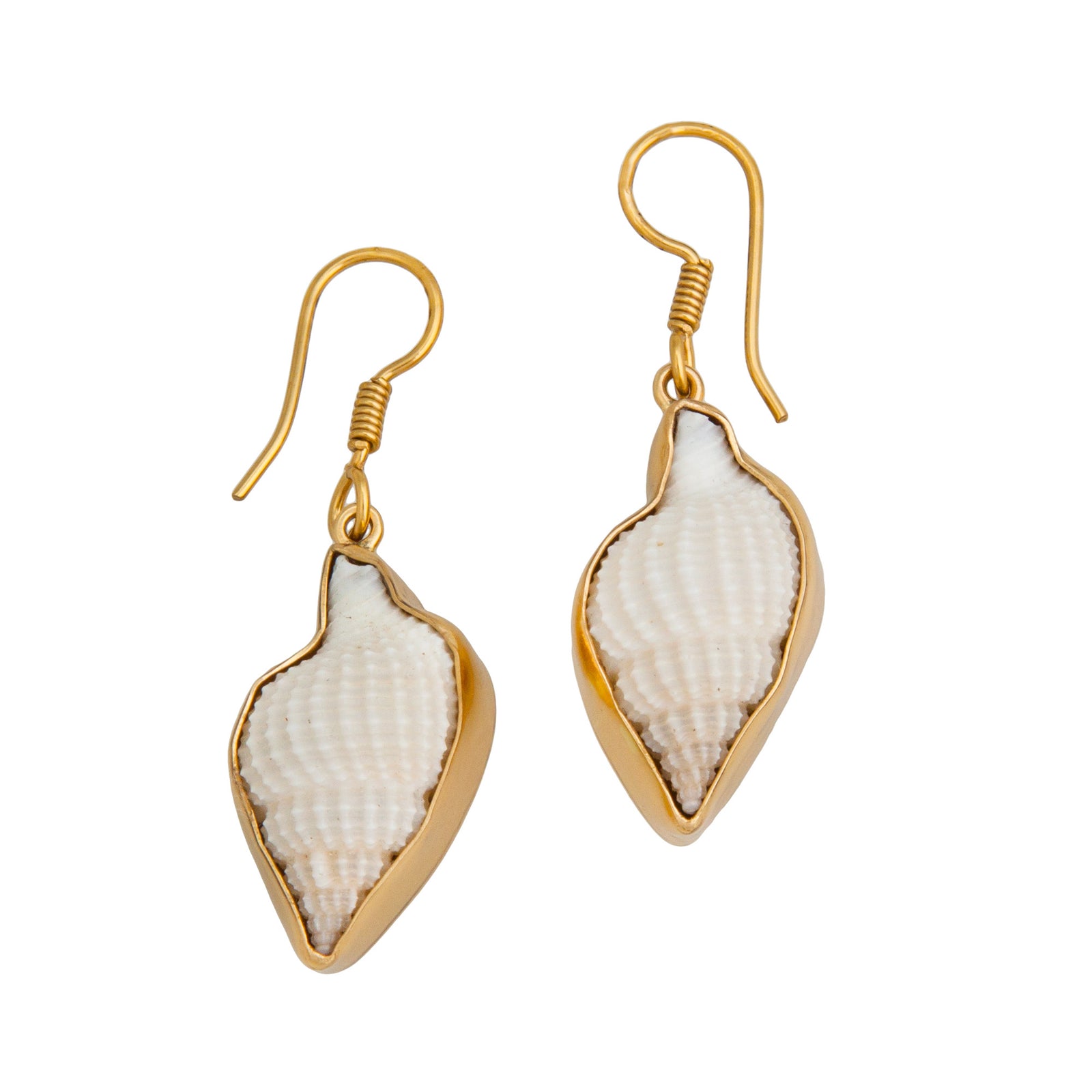 Alchemia Nassa Clothrata Shell Earrings | Charles Albert Jewelry