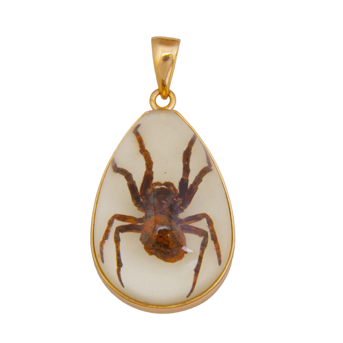 Alchemia Brown Recluse Glow in the Dark Spider Pendant | Charles Albert Jewelry