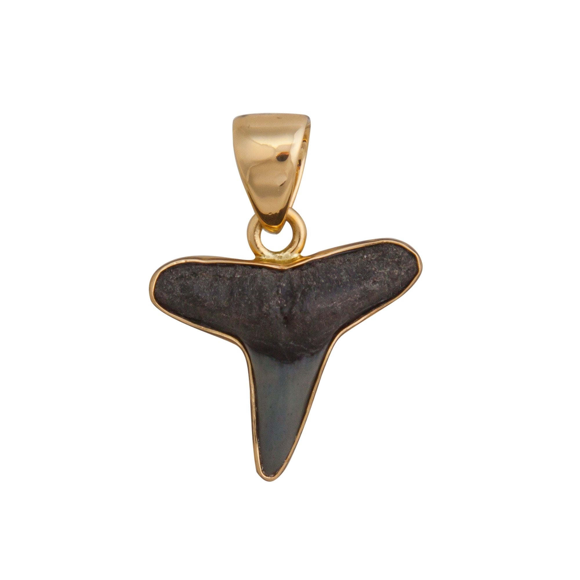Alchemia Mini Shark Tooth Pendant | Charles Albert Jewelry