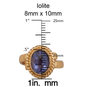 Alchemia Iolite Rope Adjustable Ring | Charles Albert Jewelry