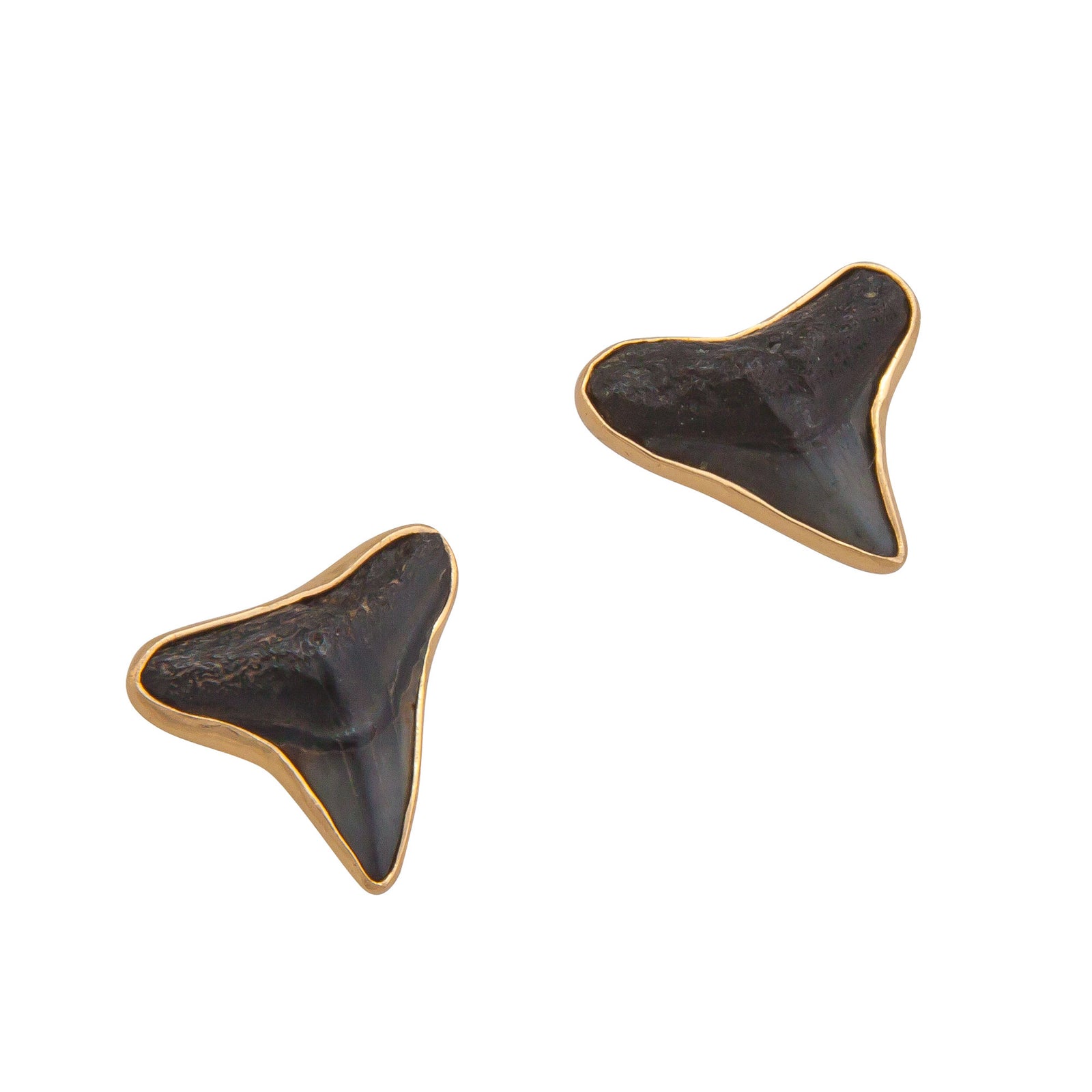 Alchemia Fossil Shark Teeth Post Earrings | Charles Albert Jewelry