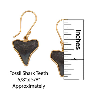 Alchemia Fossil Shark Teeth Drop Earrings | Charles Albert Jewelry
