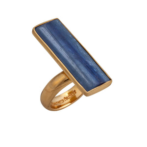 Alchemia Kyanite Adjustable Ring | Charles Albert Jewelry