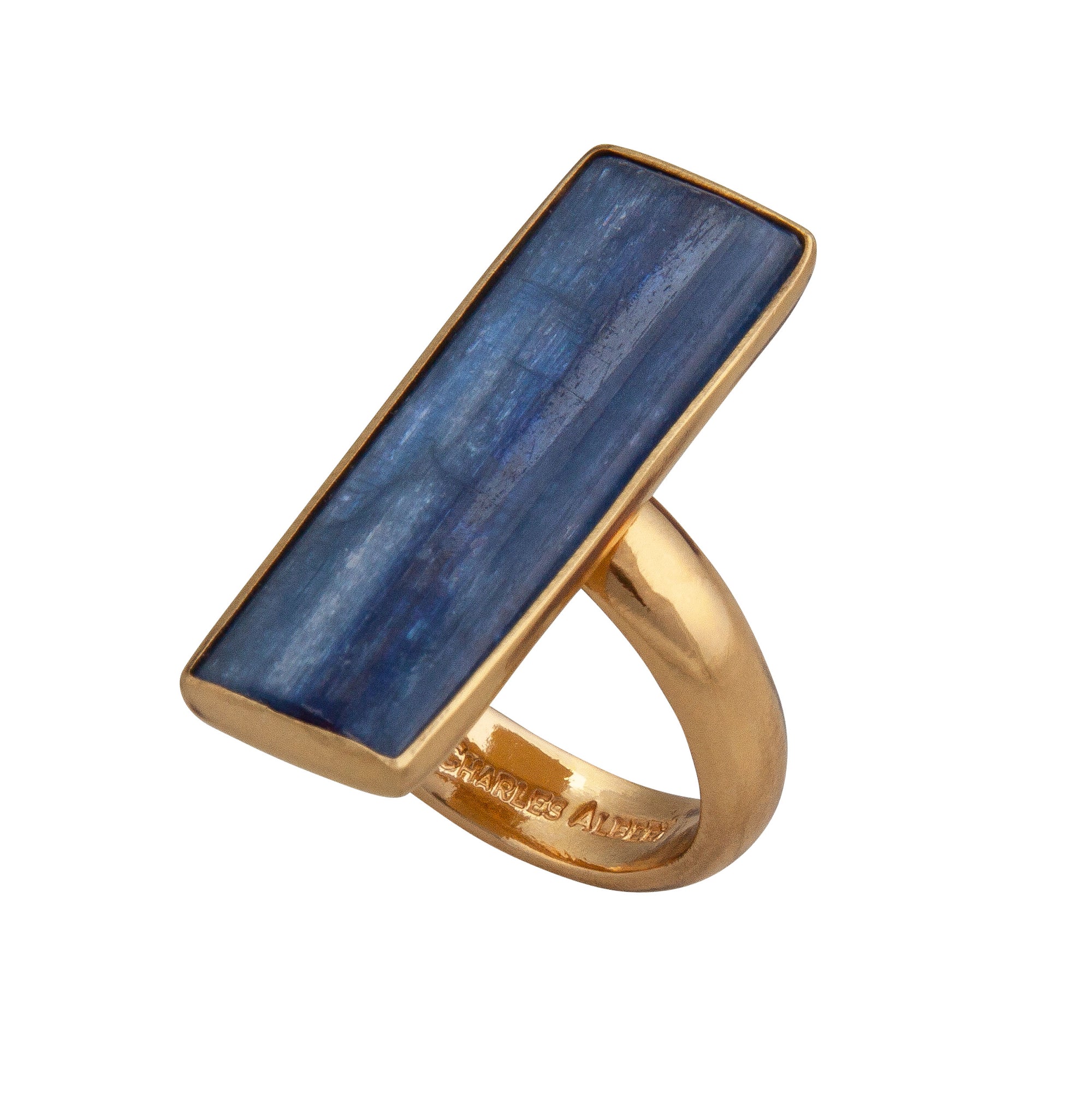 Alchemia Kyanite Adjustable Ring | Charles Albert Jewelry