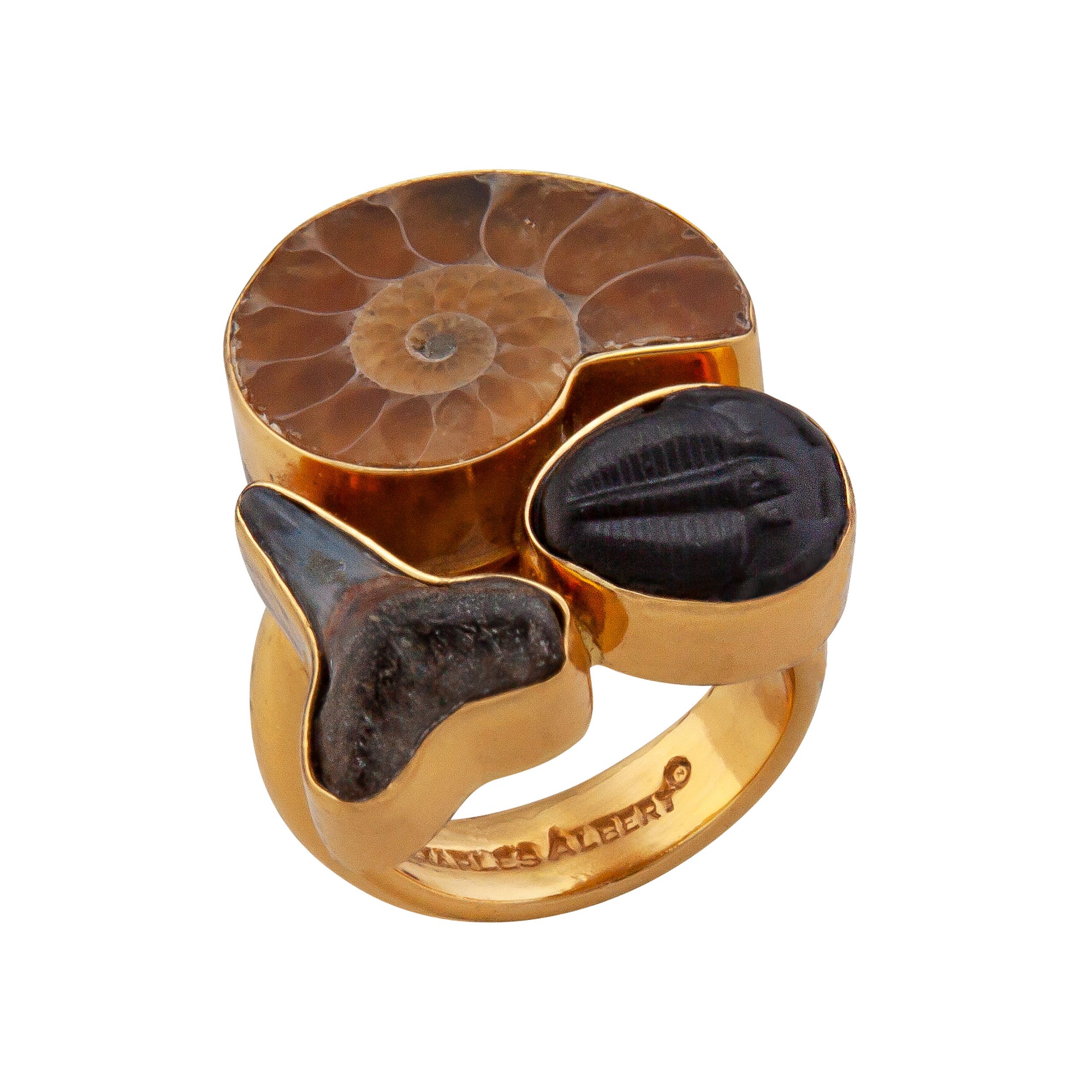 Alchemia Multi Fossil Adjustable Ring | Charles Albert Jewelry
