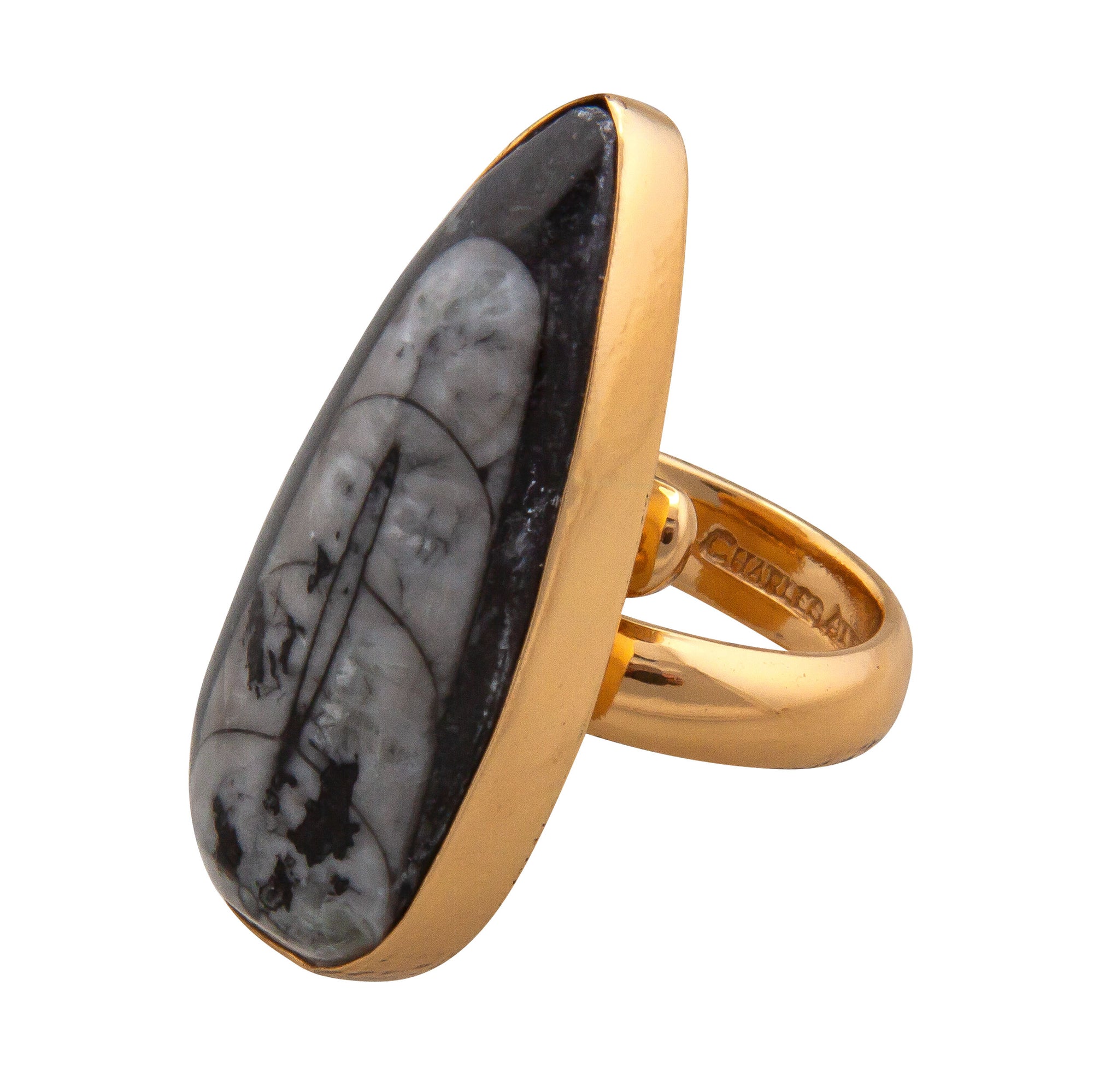 Alchemia Orthoceras Adjustable Ring | Charles Albert Jewelry
