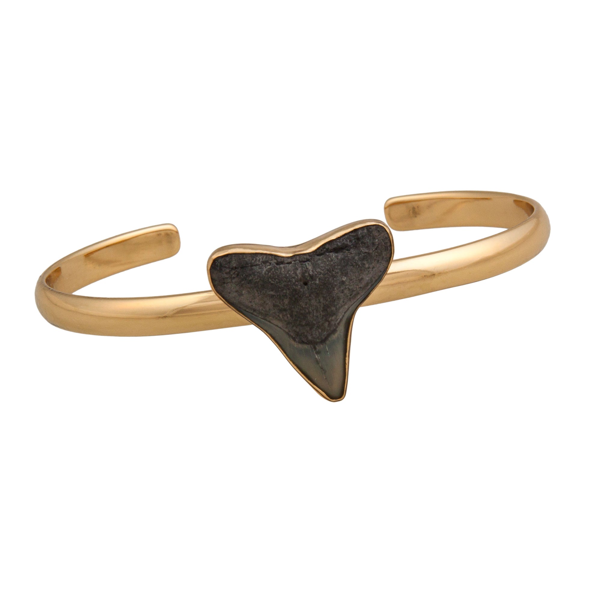 Alchemia Fossil Shark Tooth Mini Cuff | Charles Albert Jewelry