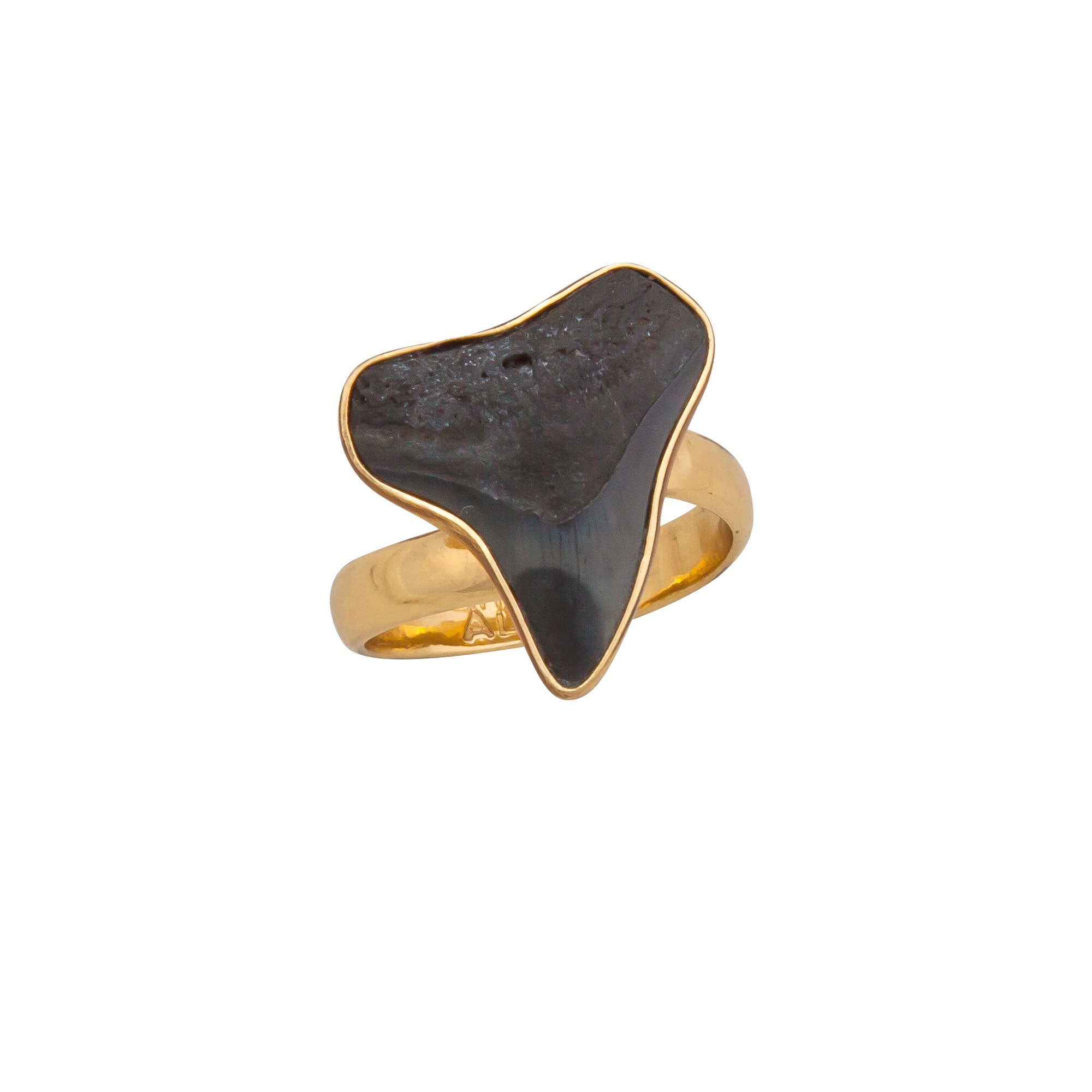 Alchemia Mini Shark Tooth Adjustable Ring | Charles Albert Jewelry