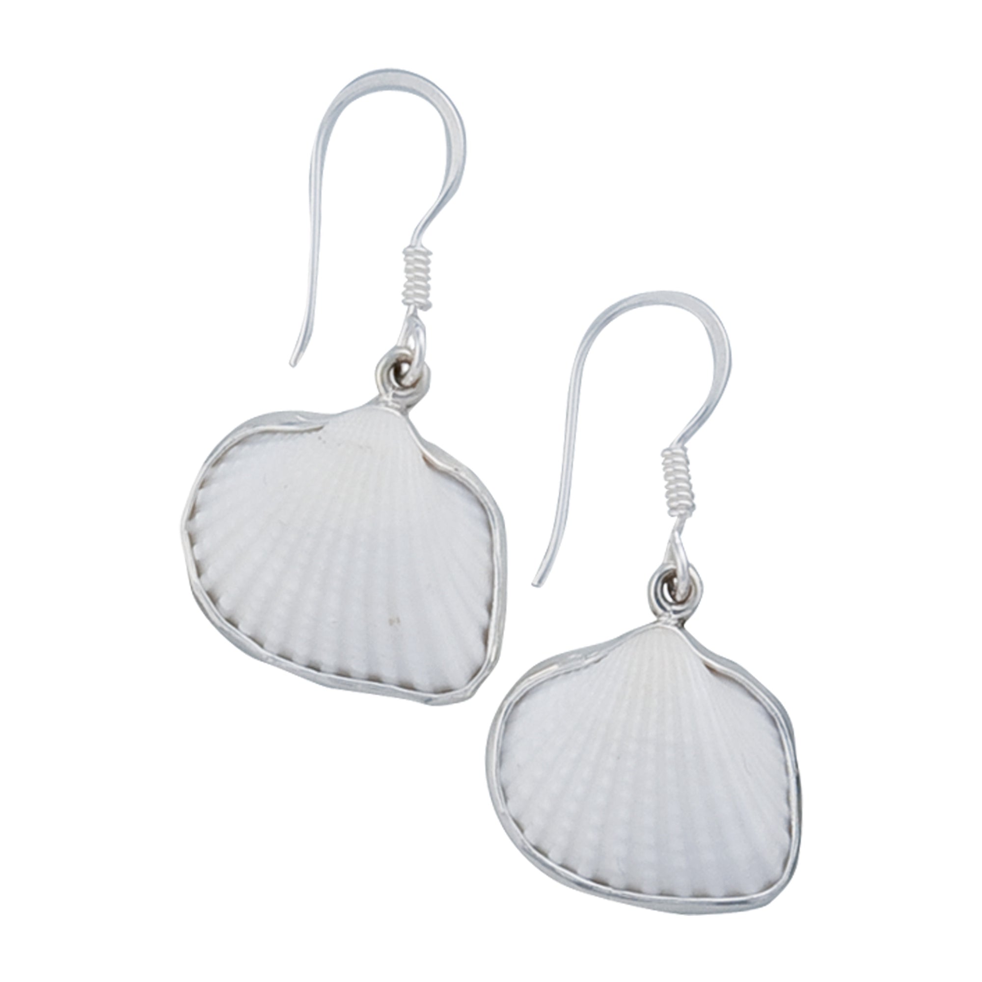 Sterling Silver Ark Shell Drop Earrings | Charles Albert Jewelry