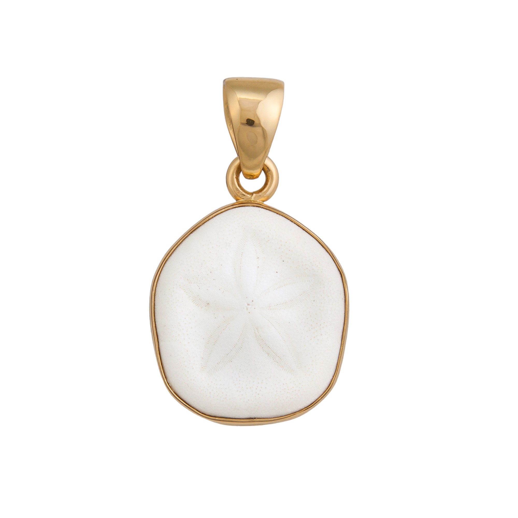 Alchemia Sand Dollar Shell Pendant | Charles Albert Jewelry