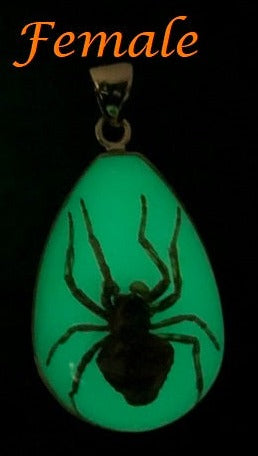 Alchemia Brown Recluse Glow in the Dark Pendant | Charles Albert Jewelry