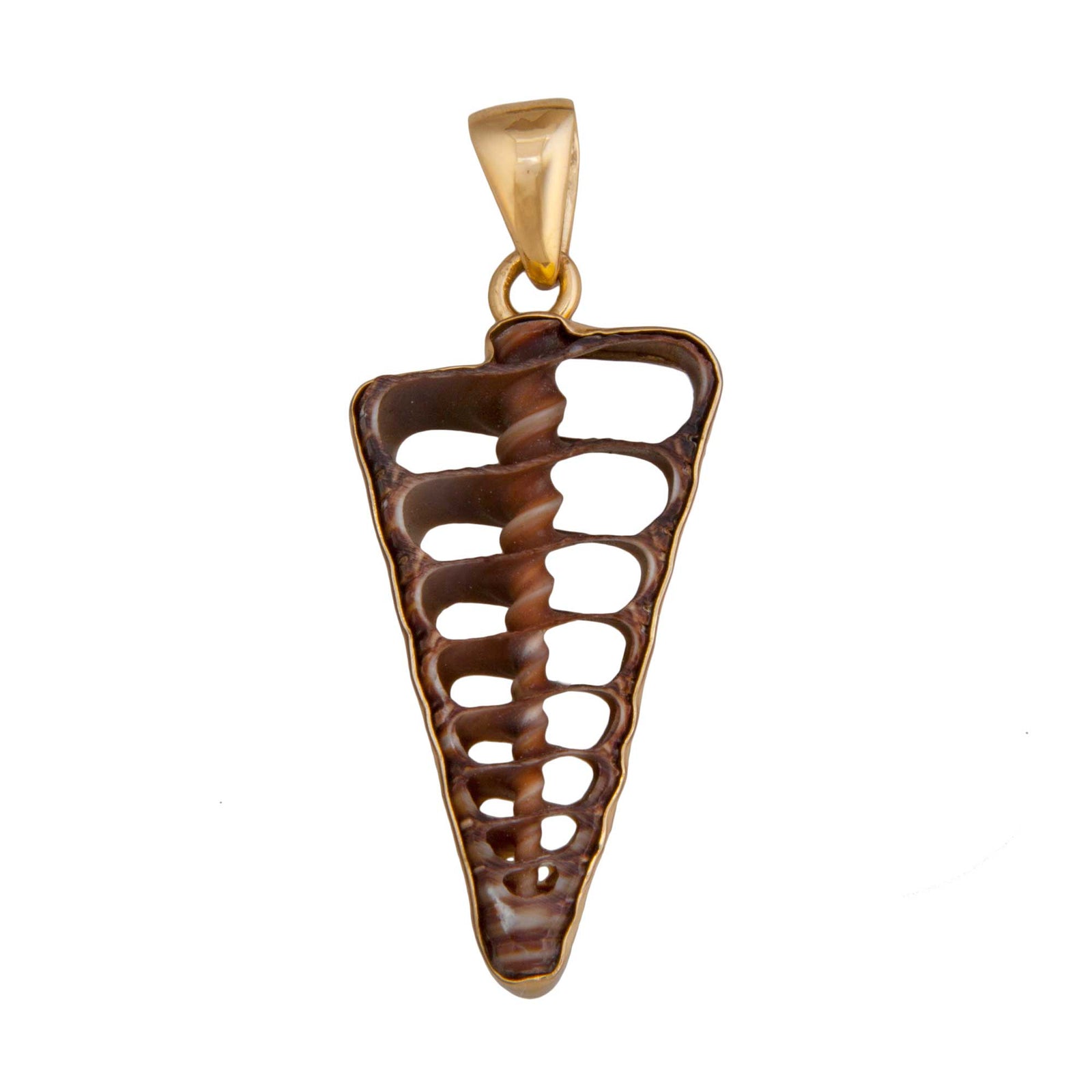 Alchemia Cerithium Telescopium Shell Pendant | Charles Albert Jewelry