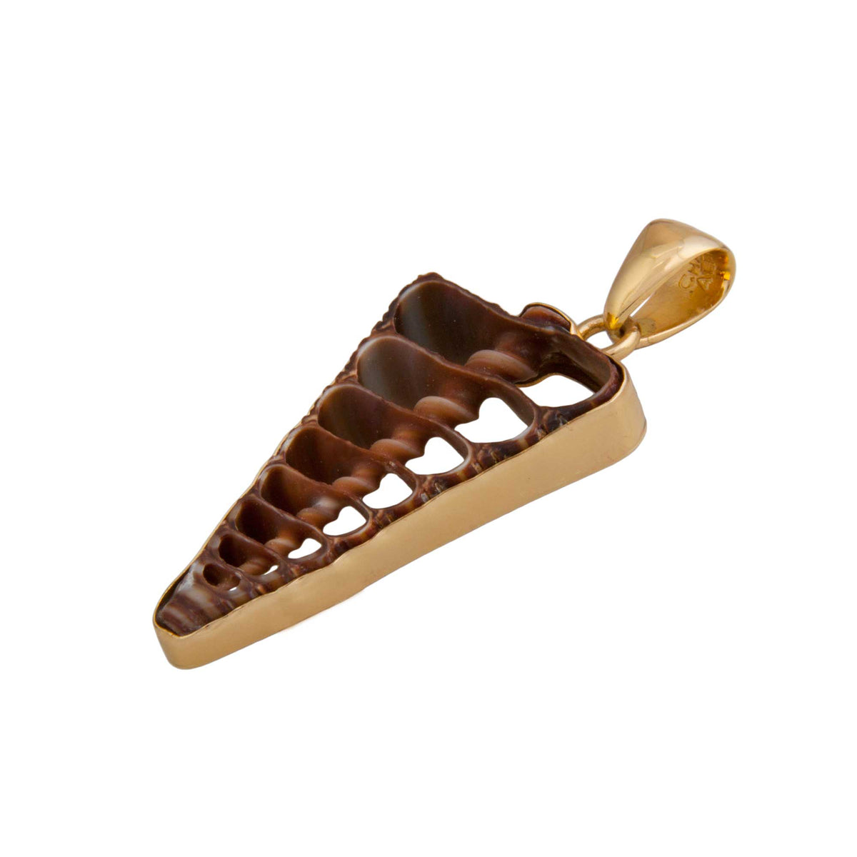 Alchemia Cerithium Telescopium Shell Pendant | Charles Albert Jewelry