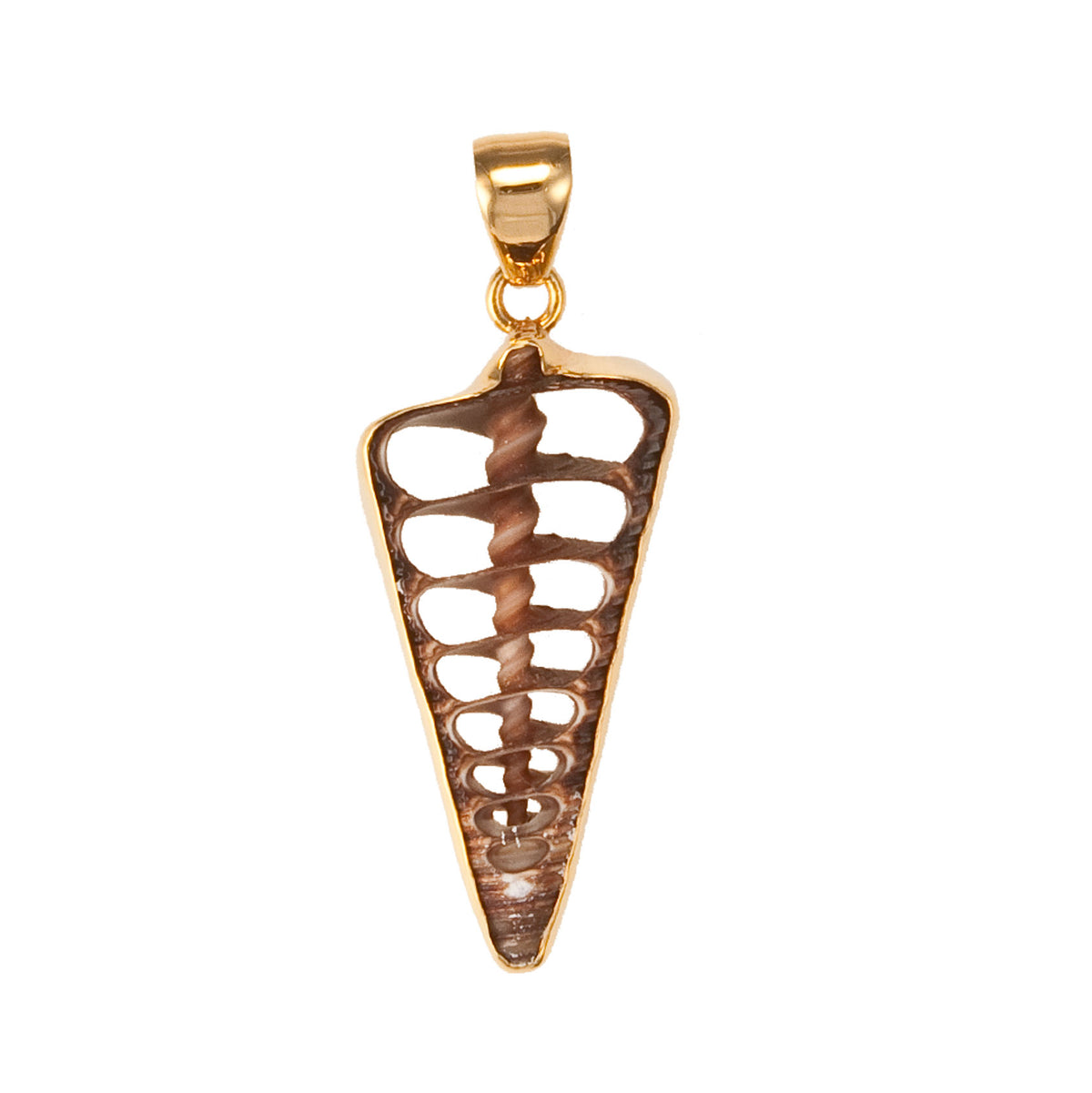 Alchemia Cerithium Telescopium Shell Pendant | Charles Albert Jewelry