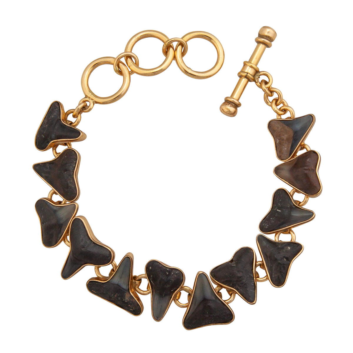 Alchemia Fossil Shark Teeth Bracelet | Charles Albert Jewelry
