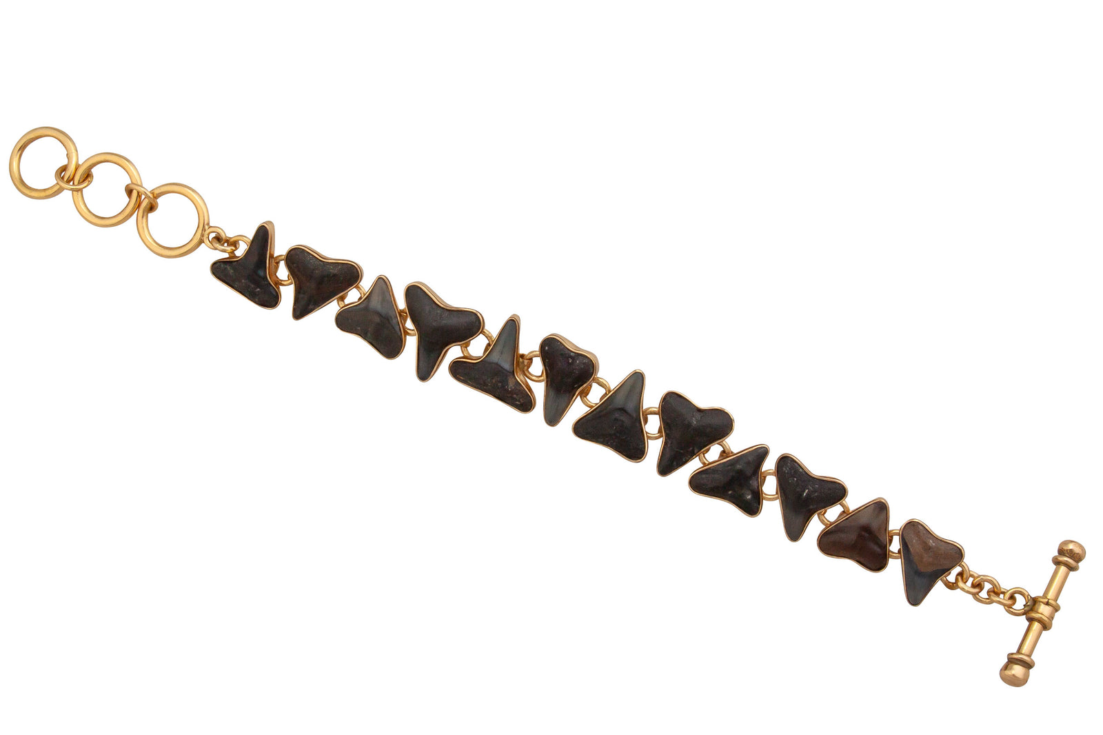 Alchemia Fossil Shark Teeth Bracelet | Charles Albert Jewelry