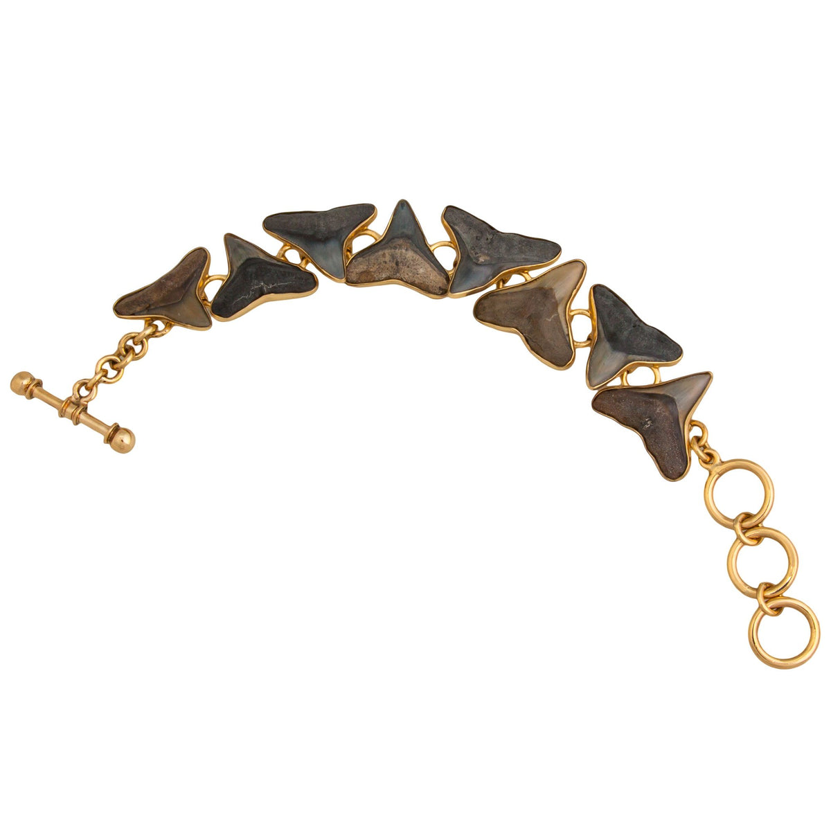 Alchemia Fossil Shark Teeth Bracelet | Charles Albert Jewelry