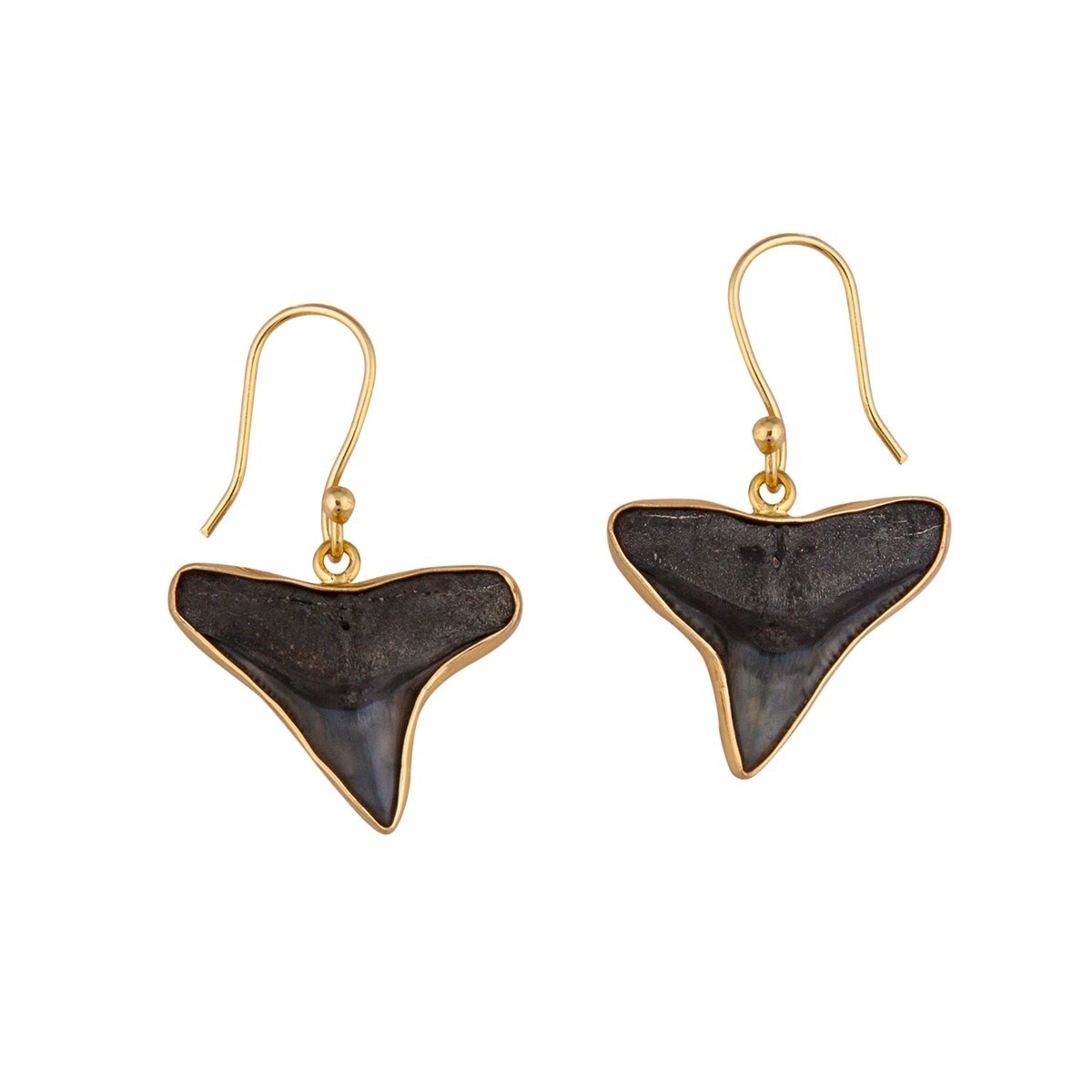 Fossil triangle earrings store